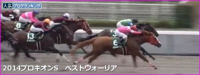 ベストウォーリア プロキオンS