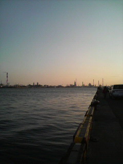P1010252.jpg