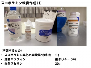 スコポラミン1