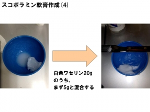 スコポラミン4
