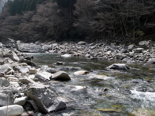 tenkawa_2014_4_17.jpg