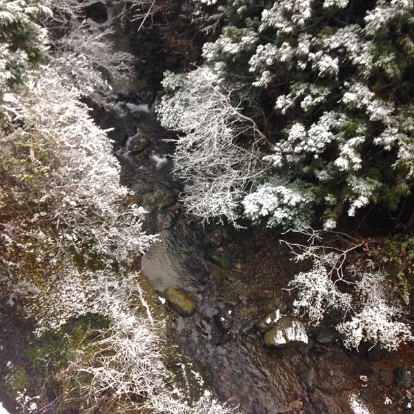 tenkawa2014_12_3.jpg