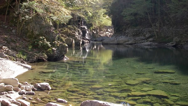 tenkawa_2015_4_23_2.jpg