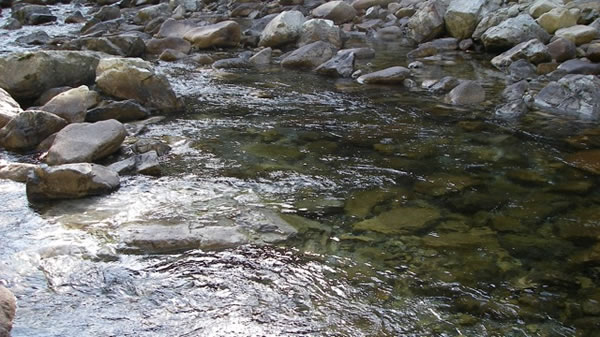 tenkawa_2015_4_23_7.jpg