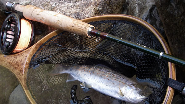 tenkawa_2015_4_23_8.jpg