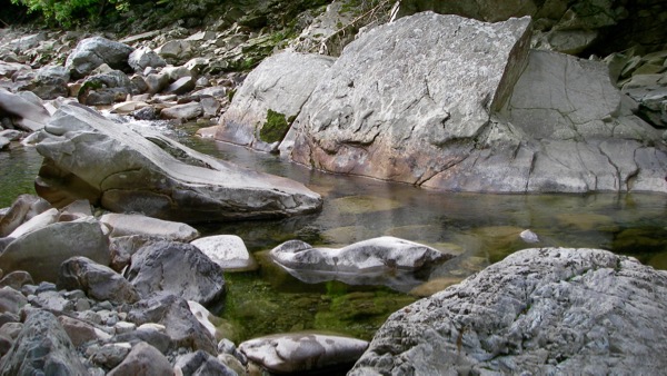tenkawa_2015_5_21 - 3.jpg