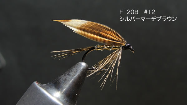 シルバーマーチブラウン
