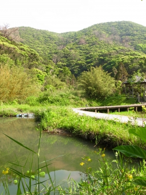 R0018158.JPG