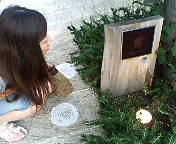 20050718_26513.jpg