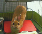 20070303_293125.jpg