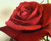 20070308_294938.jpg