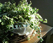 200709061750000.jpg