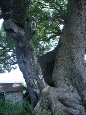 RIMG0366.JPG