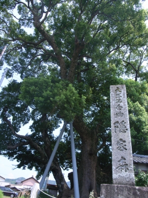 RIMG0371.JPG