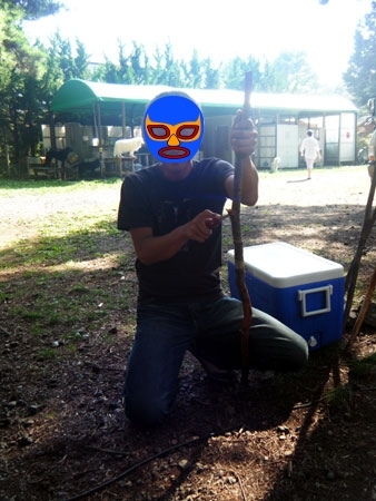 mm2.jpg