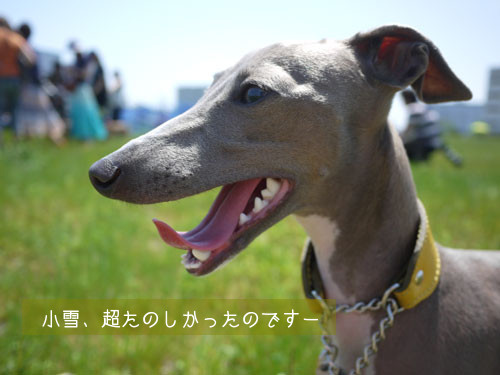 51.jpg