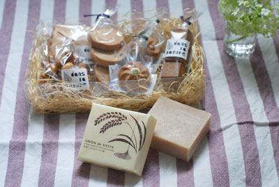 130220-danslanatureset2.jpg