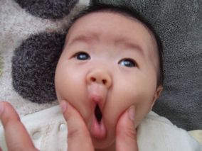 一紘