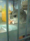 20060705_203310.jpg