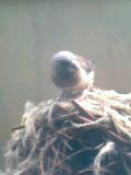 20060802_217159.jpg