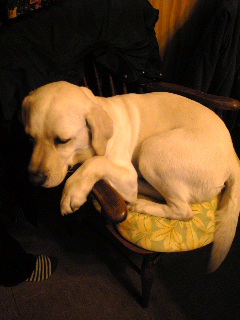 20070223_314474.jpg