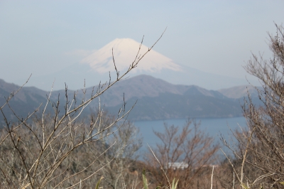IMG_1961.JPG
