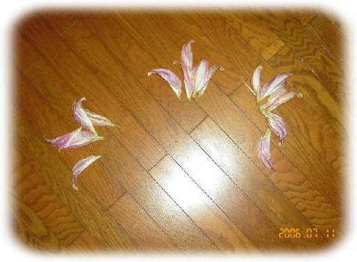 ・・・ぼとり。