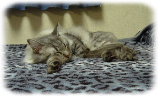 ZZzzzzzzzzzzzzzzzzz。
