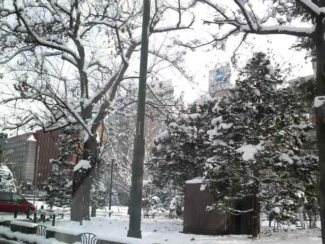 2008112013160000.jpg