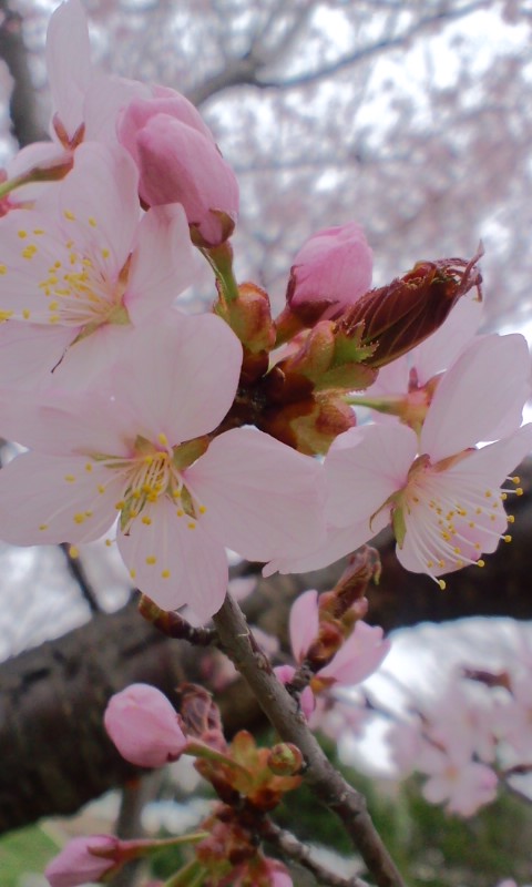 image0001.jpg