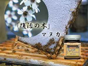 復活の木