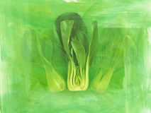 pakchoi