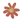Flower2