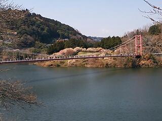 20140325_194931.jpg