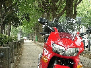 img022.jpg