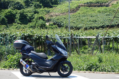 conv0016.jpg