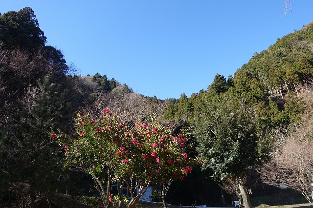 DSC00150.jpg