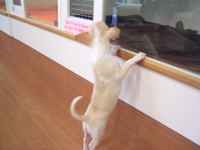 誰かいるかな?
