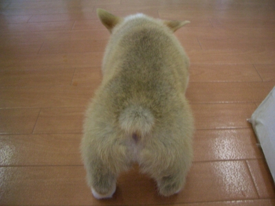 誰の後ろ姿かな?