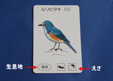 鳥カードの生息地