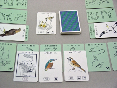 野鳥の楽園