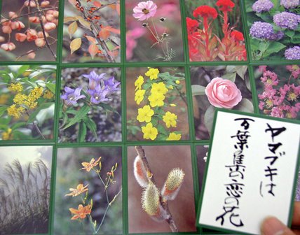 花おりおり
