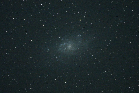M33