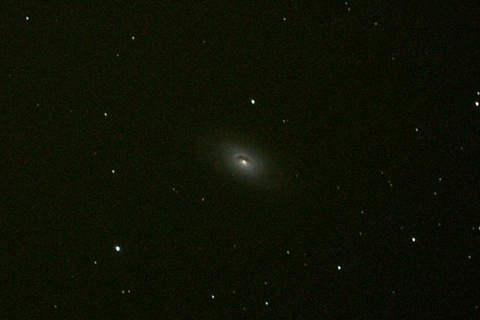 M64
