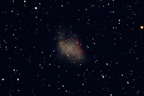 M1