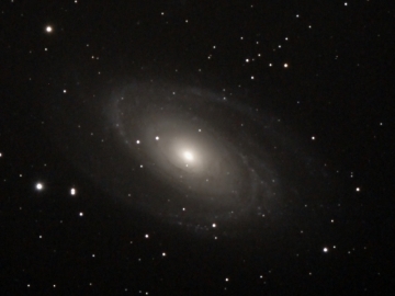 M81