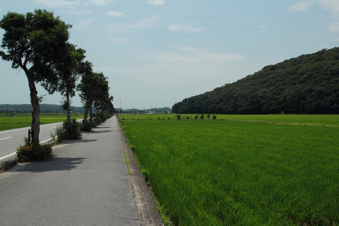 撮影地
