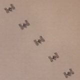 ISS Solar Transit Zoom