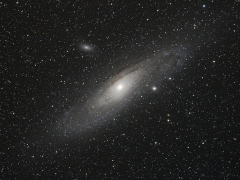 M31