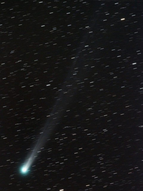 ラブジョイ彗星